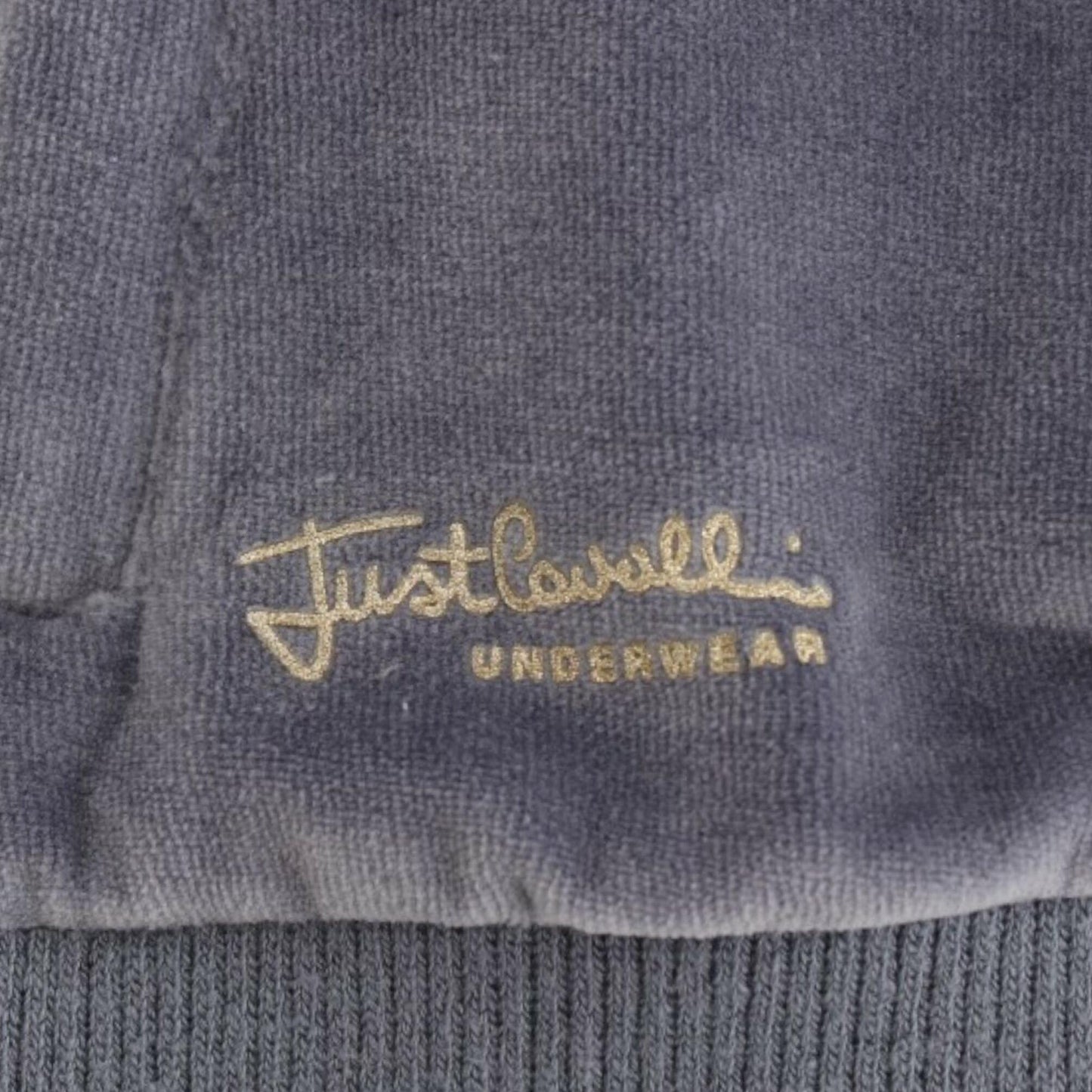 Cavalli Blue velvet zipup sweater