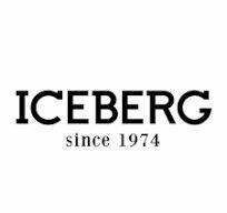 Iceberg