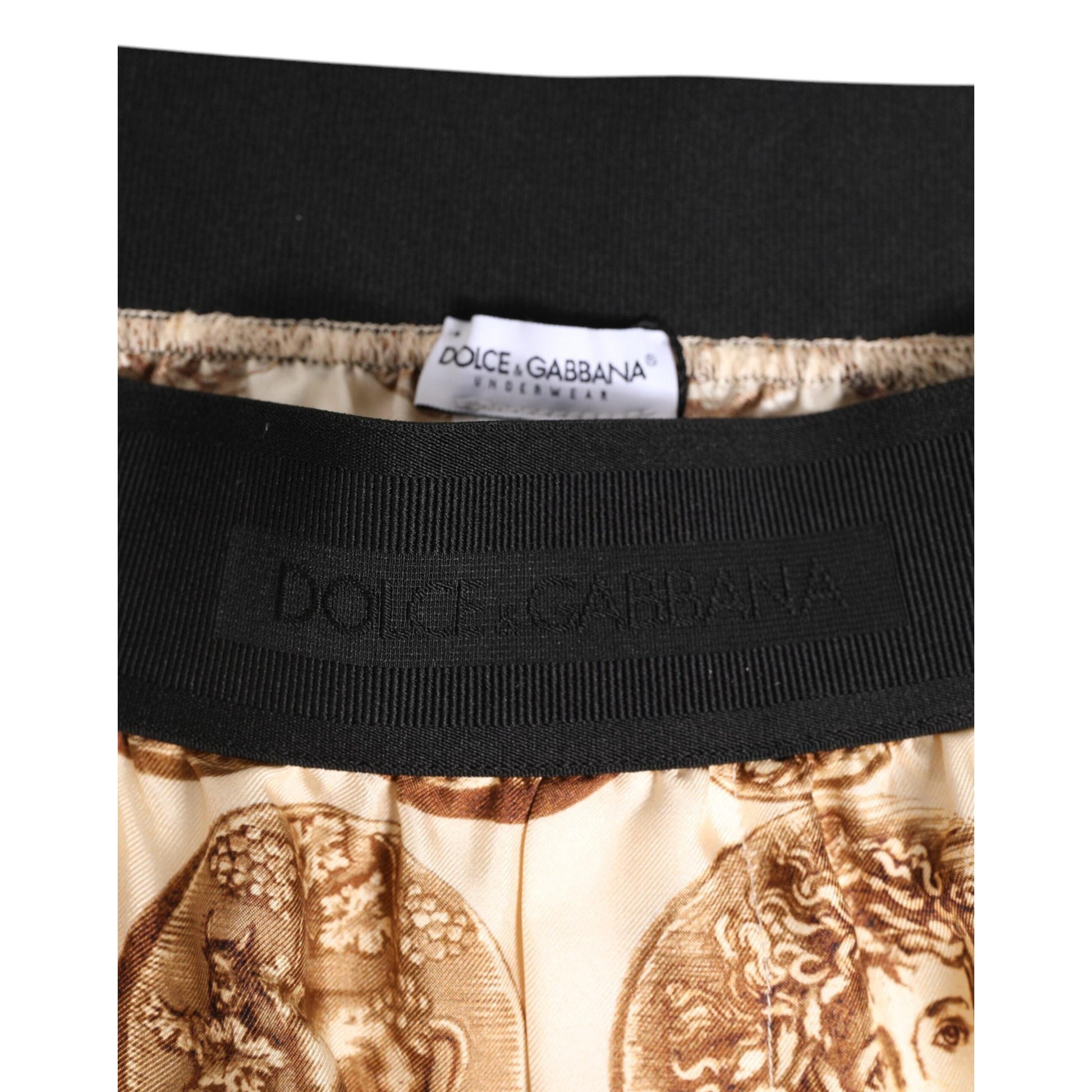 Dolce & Gabbana Brown Ancient Coin Print Silk Shorts Swimwear