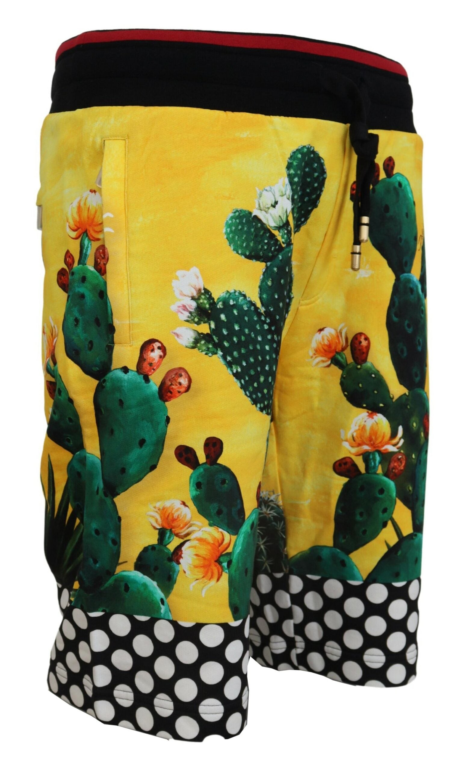 Dolce & Gabbana Multifarver Cactus Print Bomuld Sweat Shorts